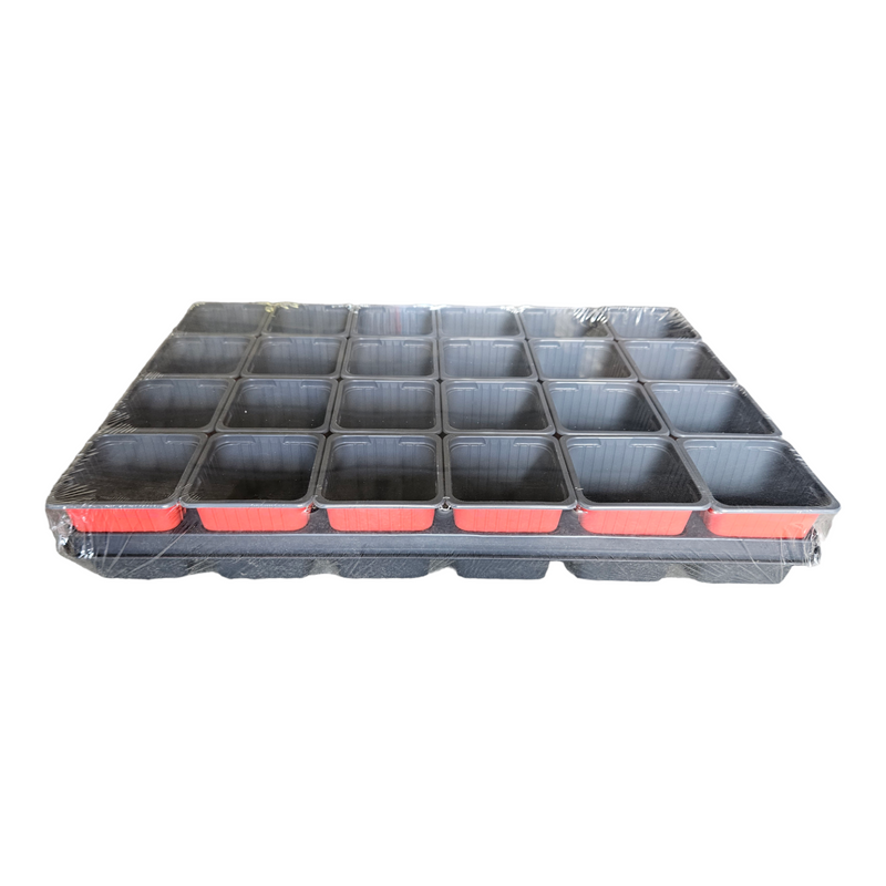 CARRY TRAY WITH 24 X 7CM X 7CM SQUARE POTS