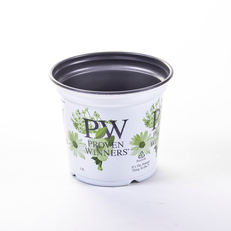 CUSTOM PRINTED CONTAINER POTS
