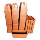 Lucia Window Box & Saucer