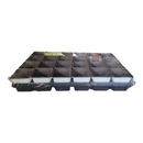 Carry Tray with 24 x 7 cm x 7 cm Square Pots