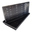 Microgreens Open Trays