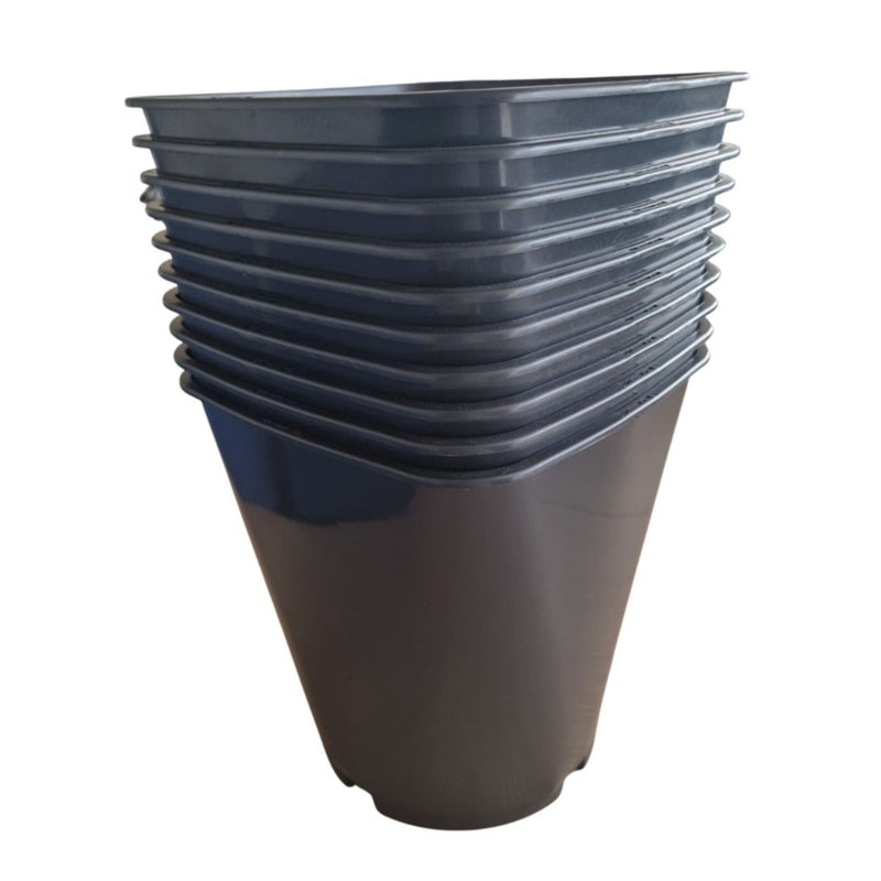 Rose Pots
