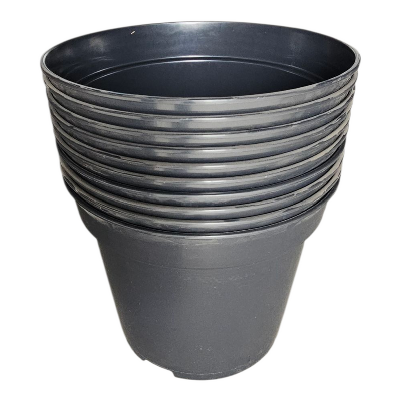 Tall Shrub Pots