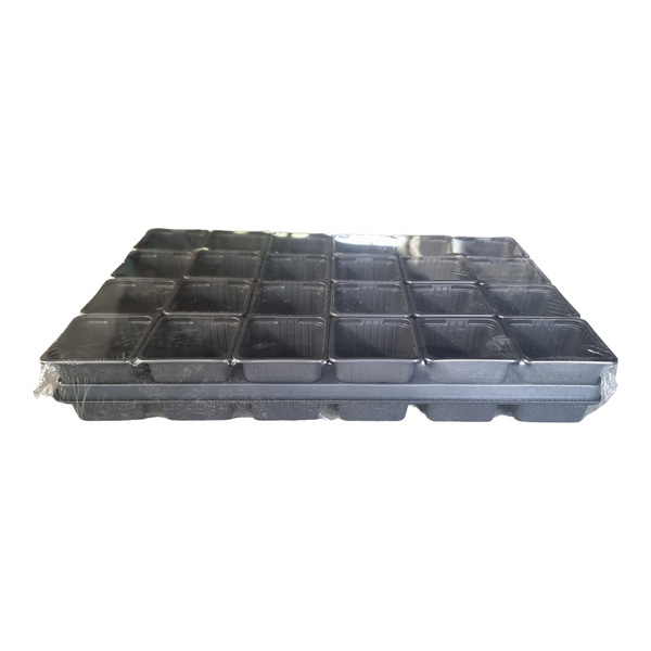 CARRY TRAY WITH 24 X 7CM X 7CM SQUARE POTS