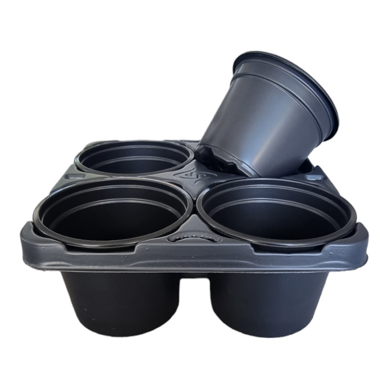 CARRY TRAY WITH 4 X 9CM ROUND POTS