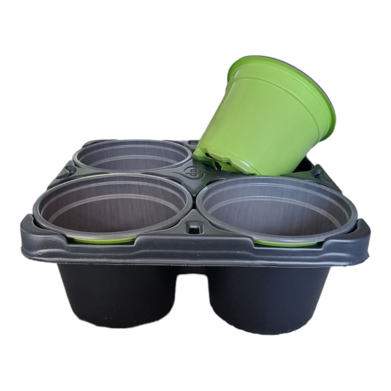 CARRY TRAY WITH 4 X 9CM ROUND POTS