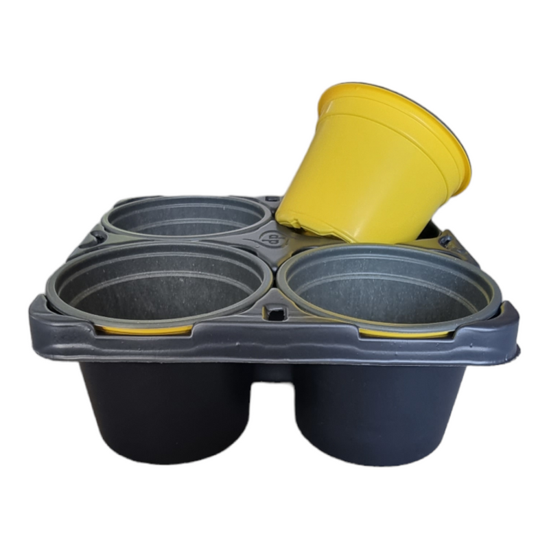 CARRY TRAY WITH 4 X 9CM ROUND POTS