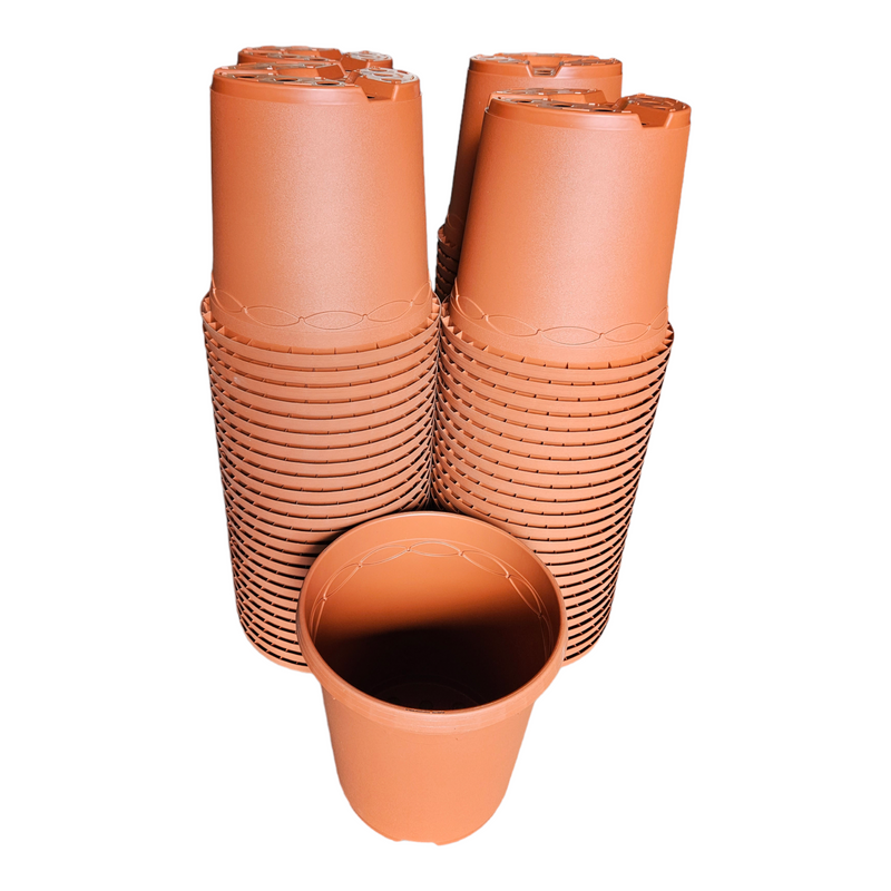 CLAUDIA DECO POT