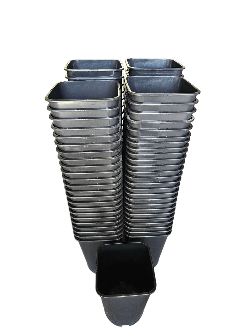 Rose Pots