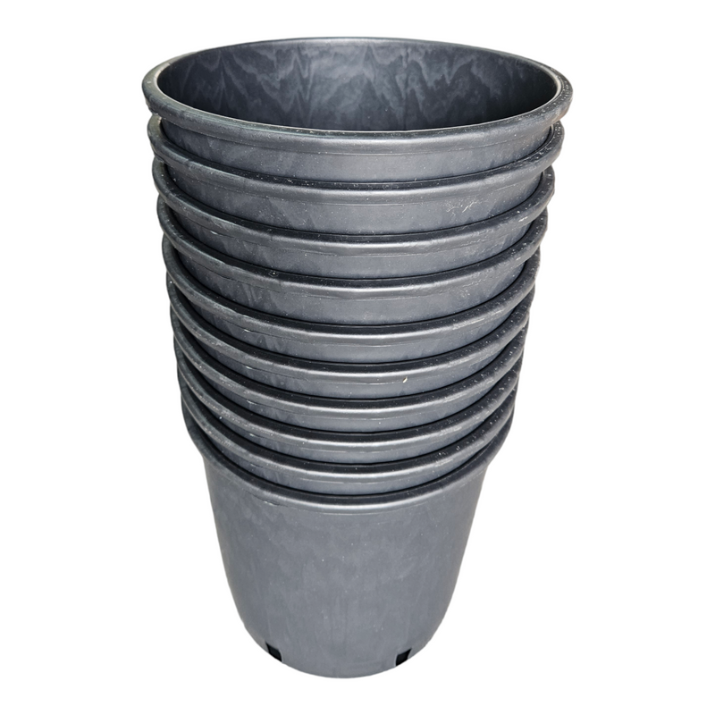 PASQUINI SHRUB POTS