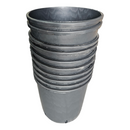 Pasquini Shrub Pots
