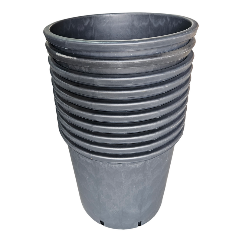 PASQUINI SHRUB POTS