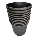 Pasquini Shrub Pots